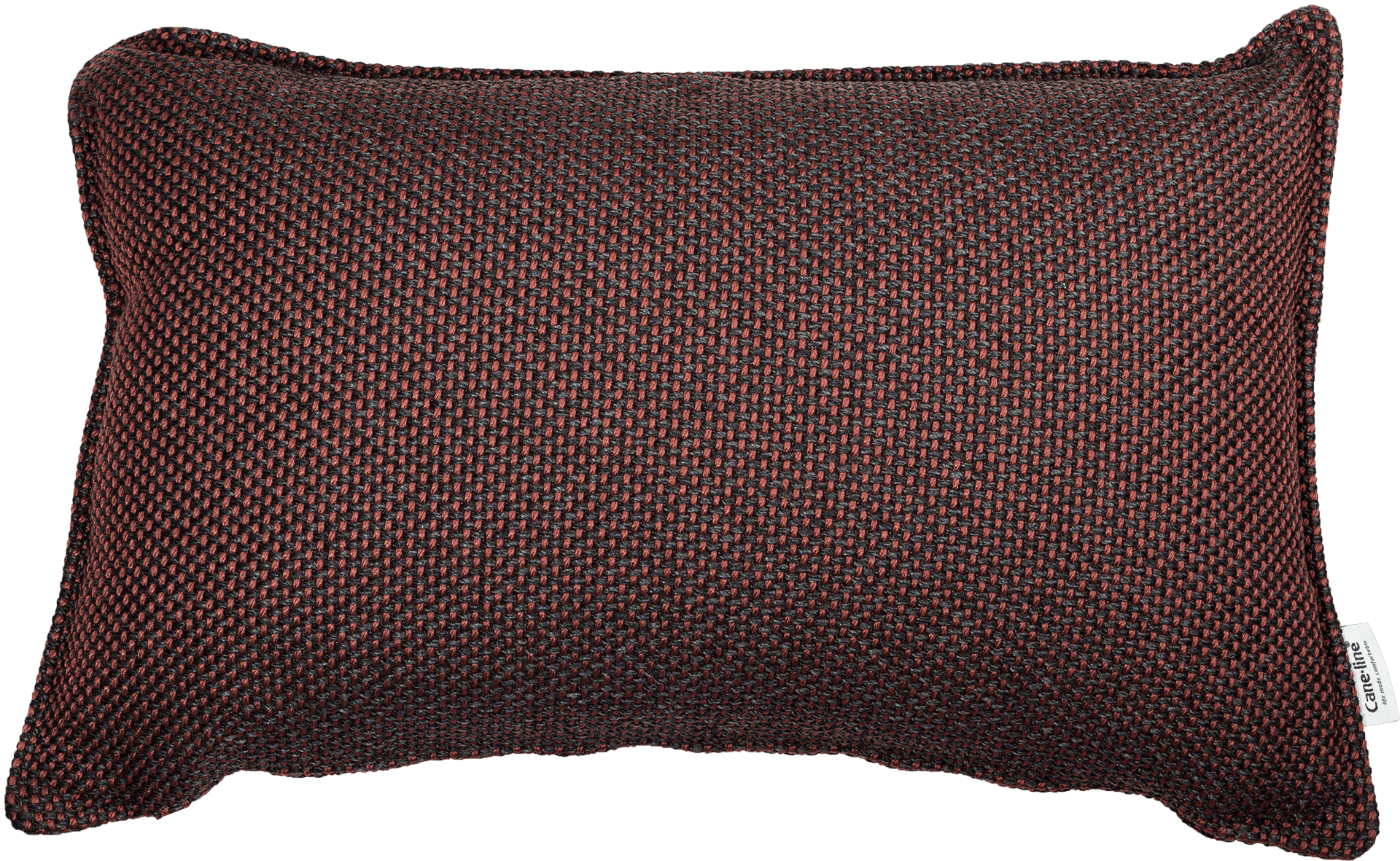 9147488 CANE LINE FOCUS PYNTEPUDE