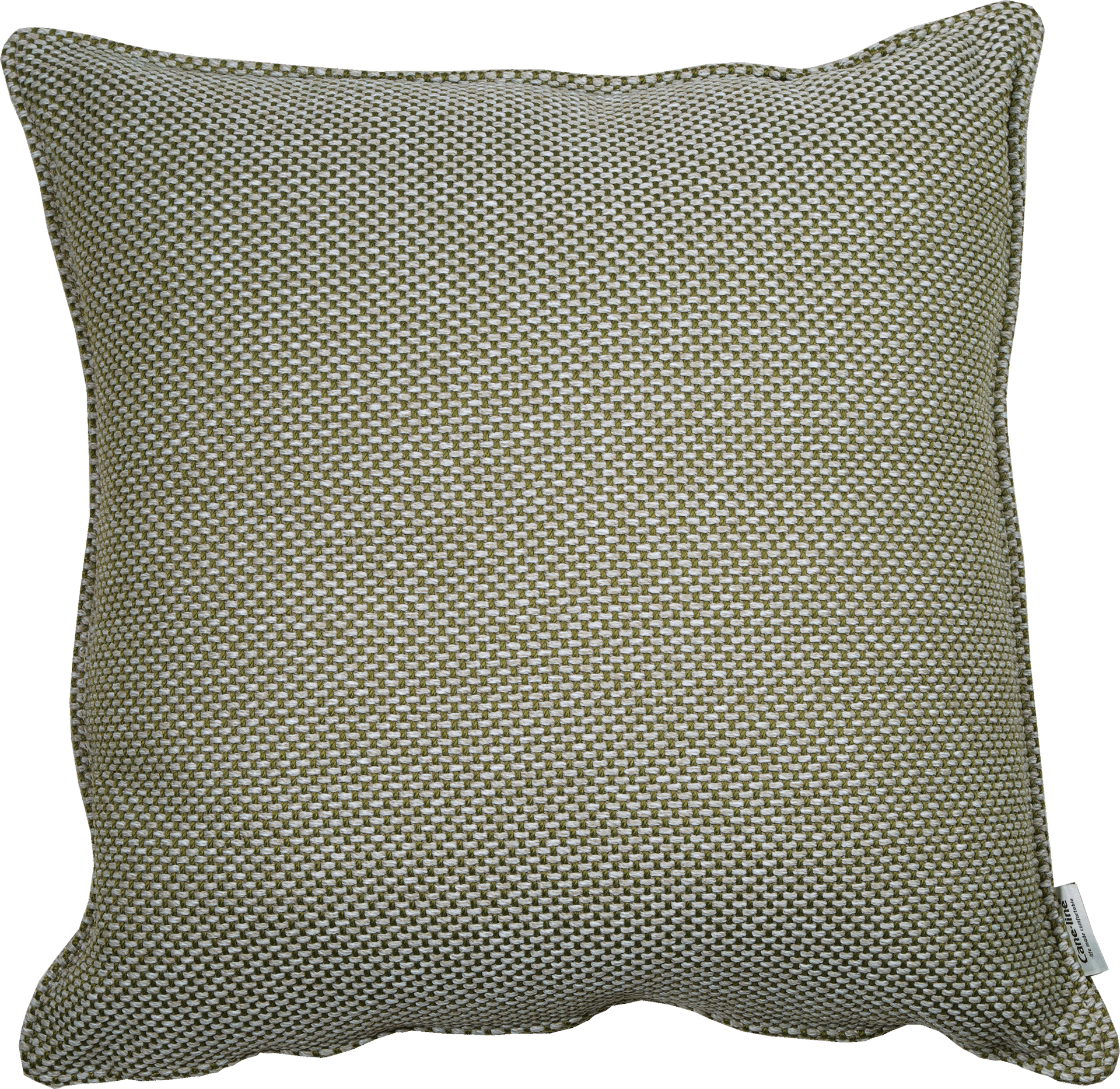 9147460 CANE LINE FOCUS PYNTEPUDE
