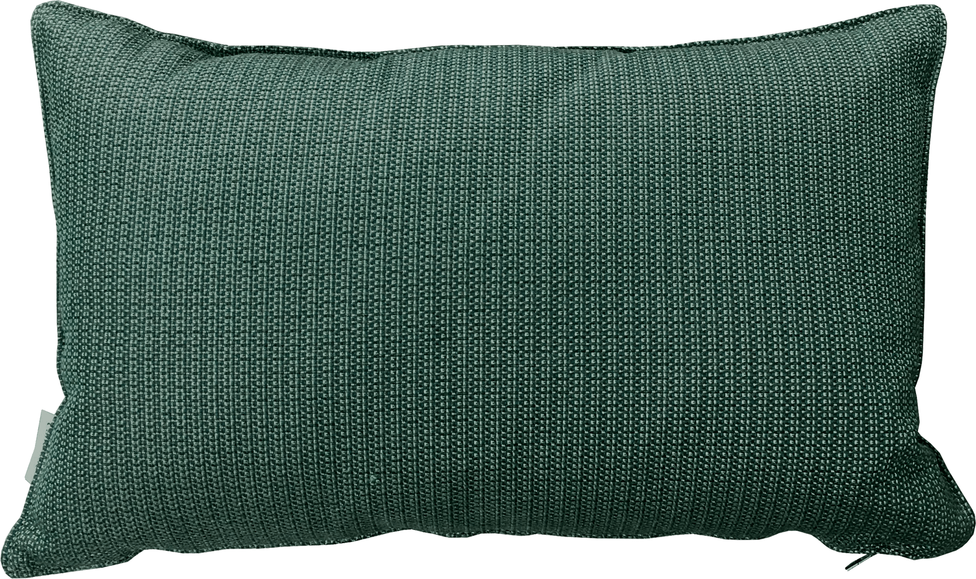 9131579 CANE LINE LINK PYNTEPUDE