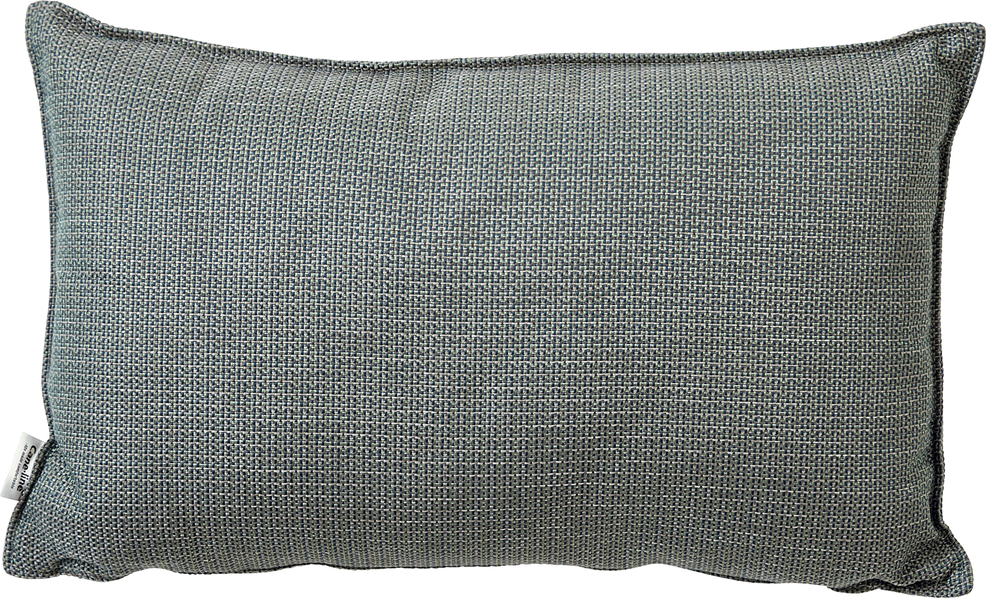 9131399 CANE LINE LINK PYNTEPUDE