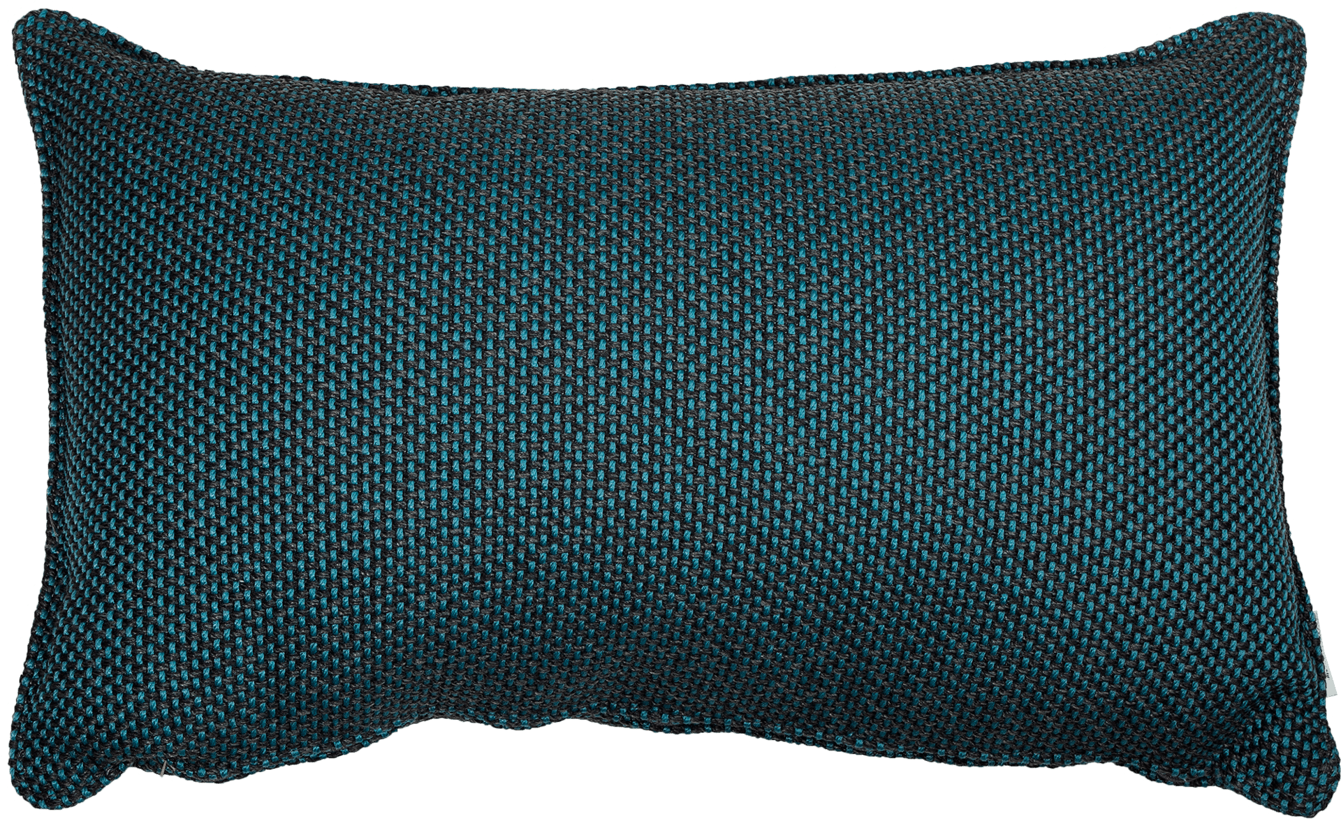 9139700 CANE LINE FOCUS PYNTEPUDE