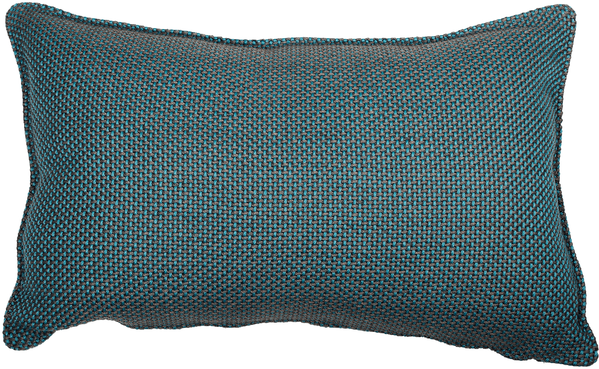 9139701 CANE LINE FOCUS PYNTEPUDE