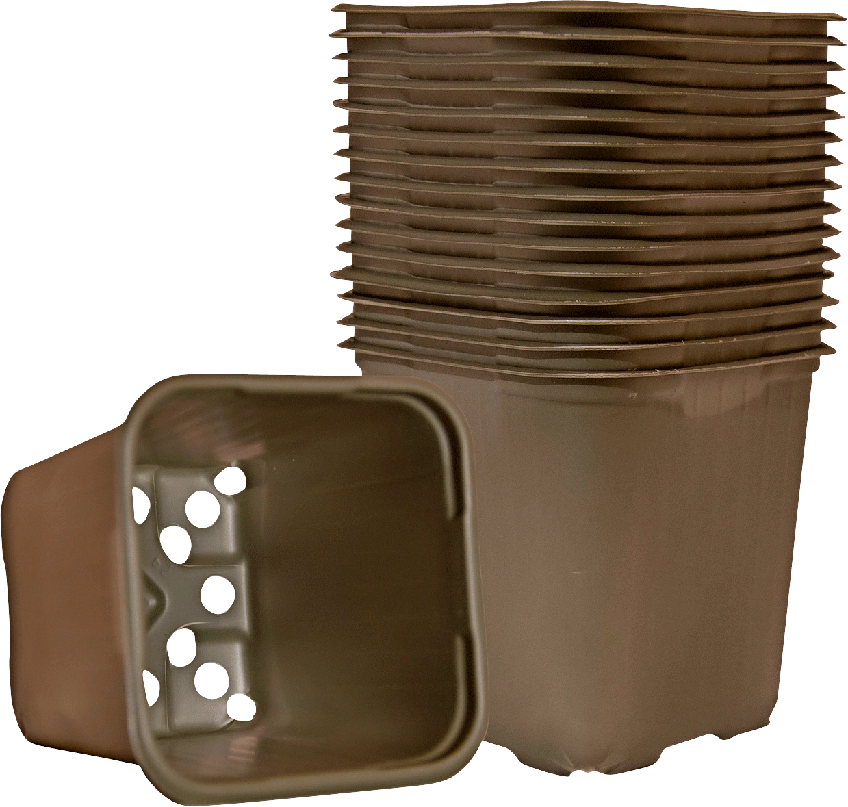 2034499 WEIBULLS ECO POTTER 8CM 15 PAK