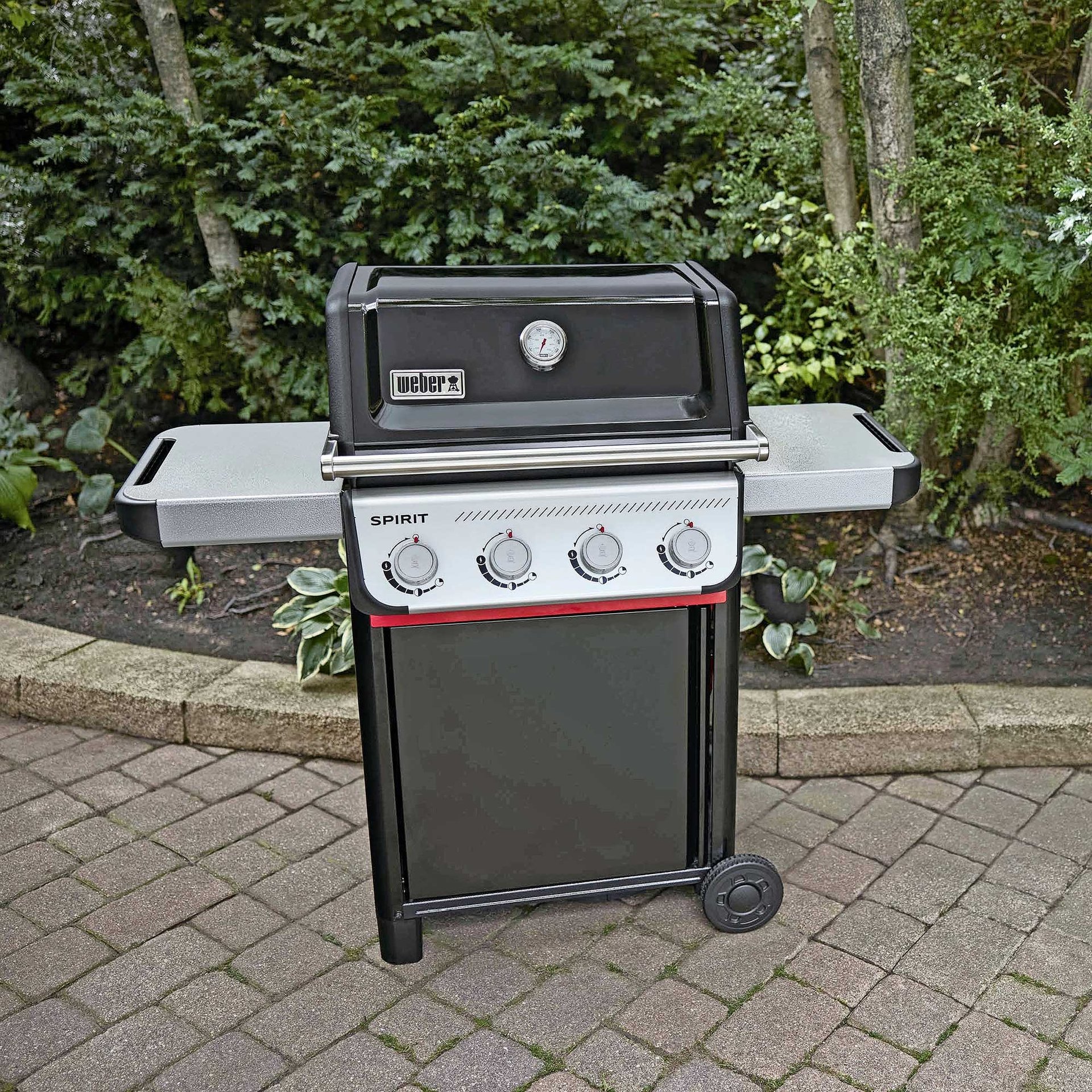 2432702_8.jpg