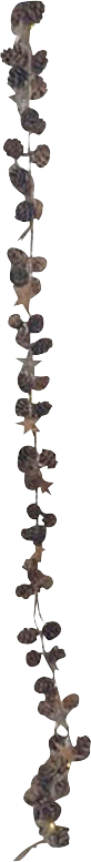 2496207_1.png