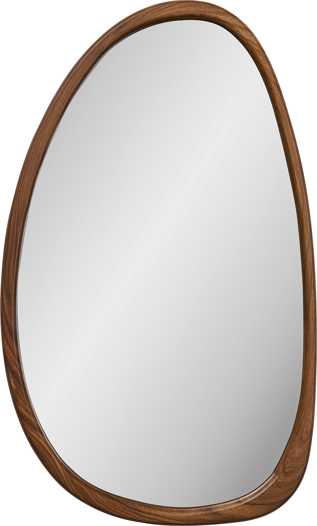 2500461_1.png