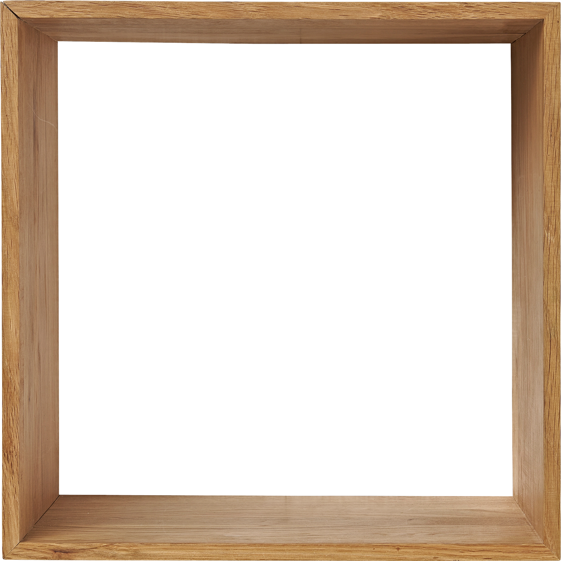 2500492_1.png