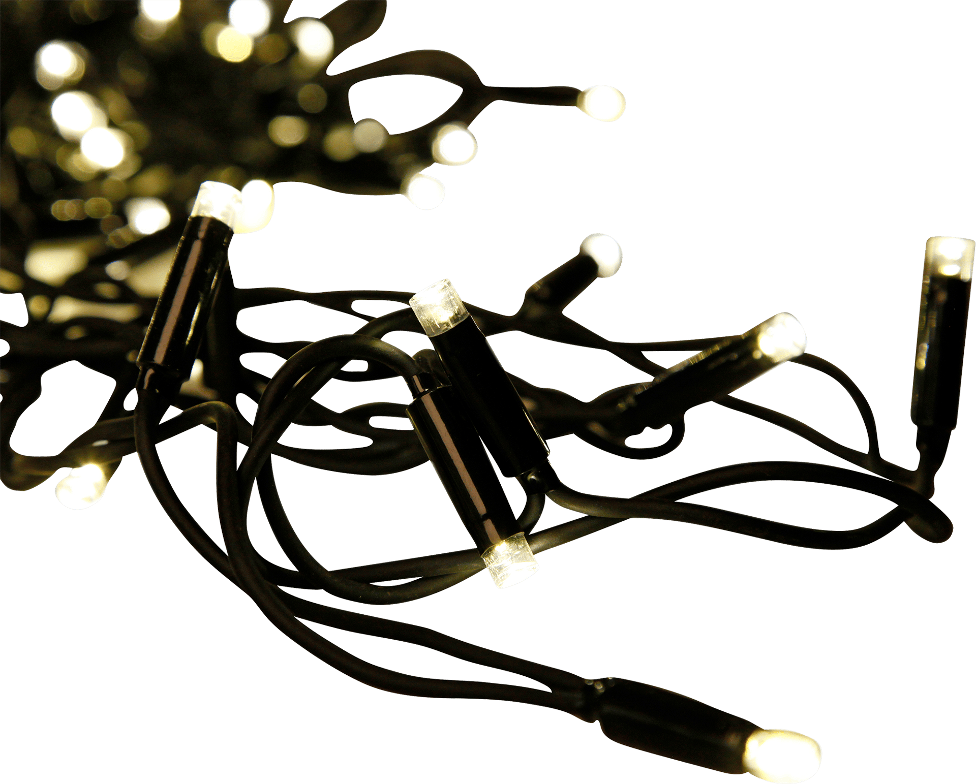 2115552_1.png