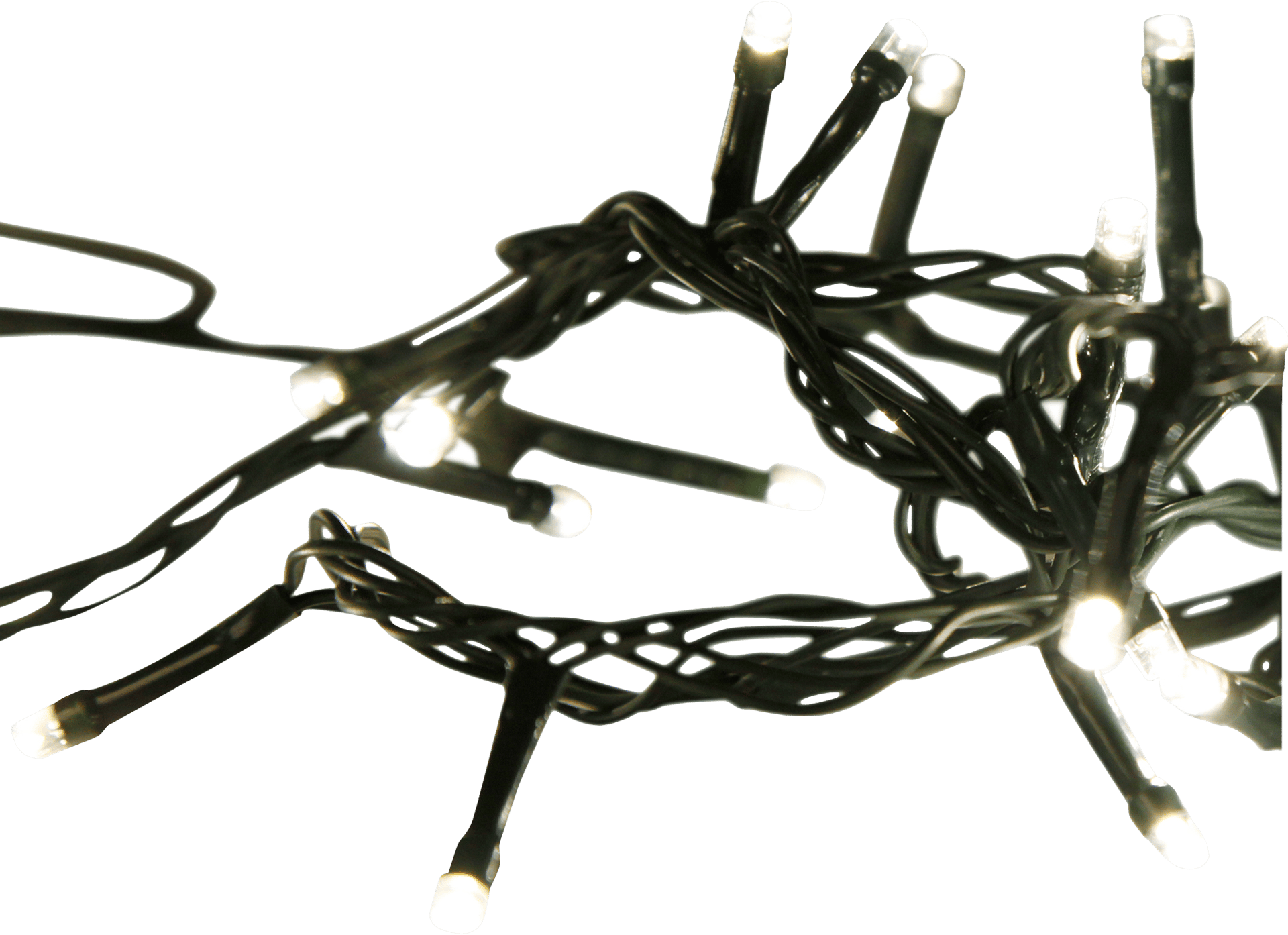 2061639_1.png