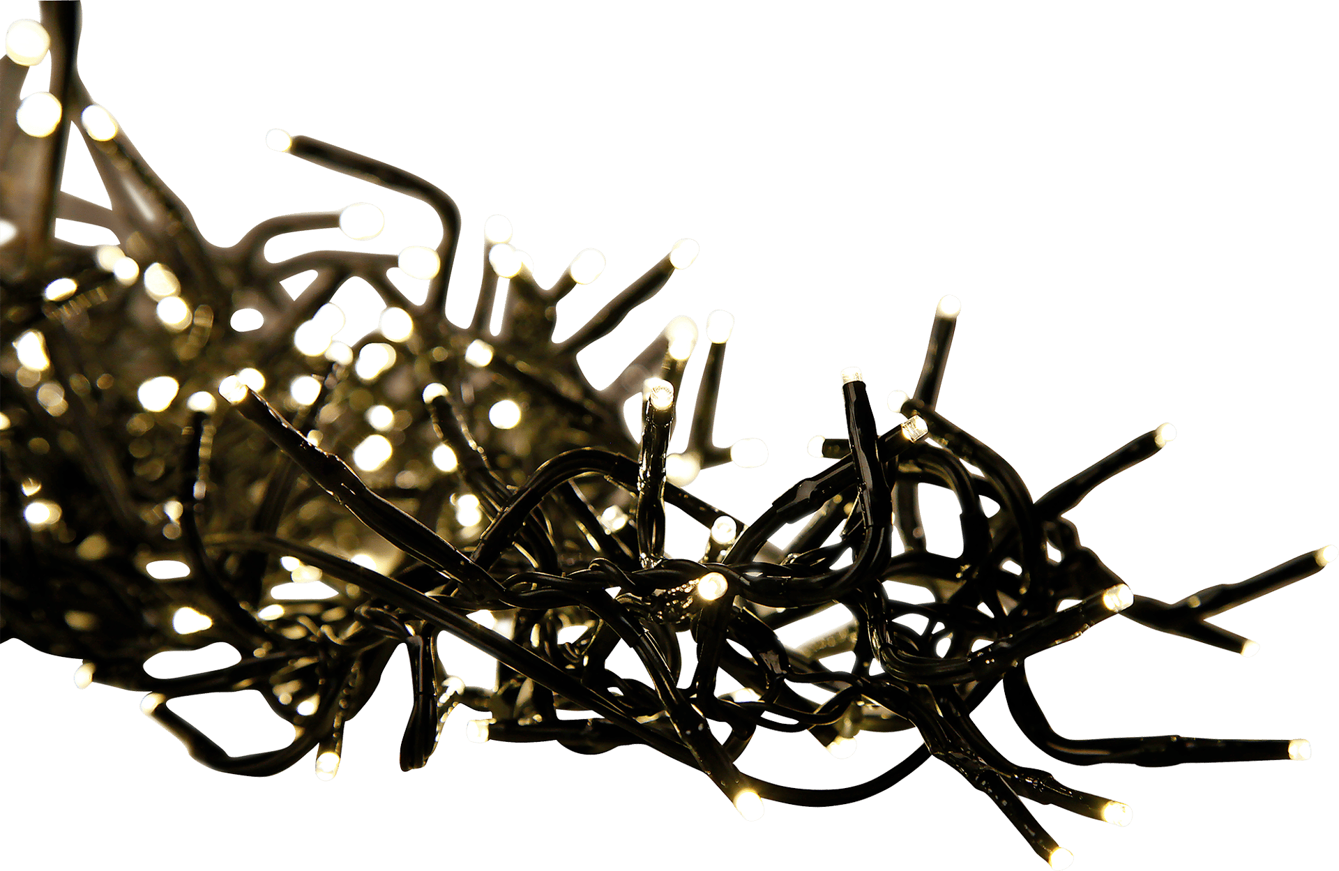 2061656_1.png