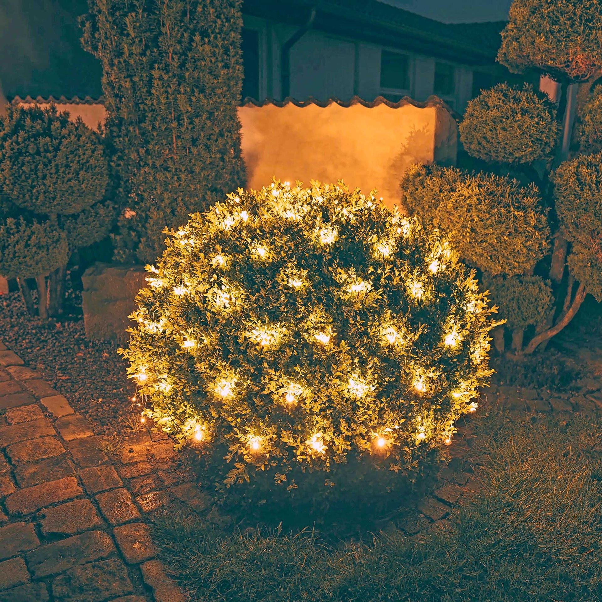 2061594_9.jpg