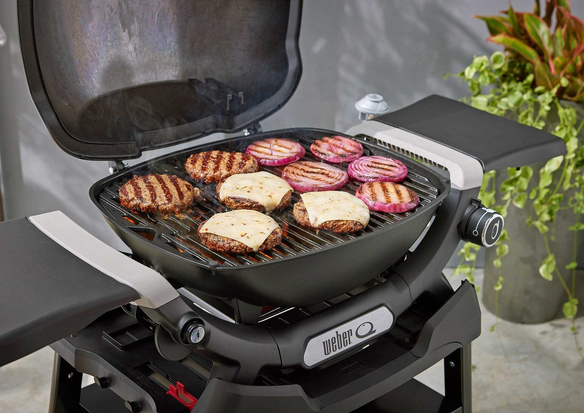 2432693 WEBER Q PREMIUM Q1200N GASGRILL 2