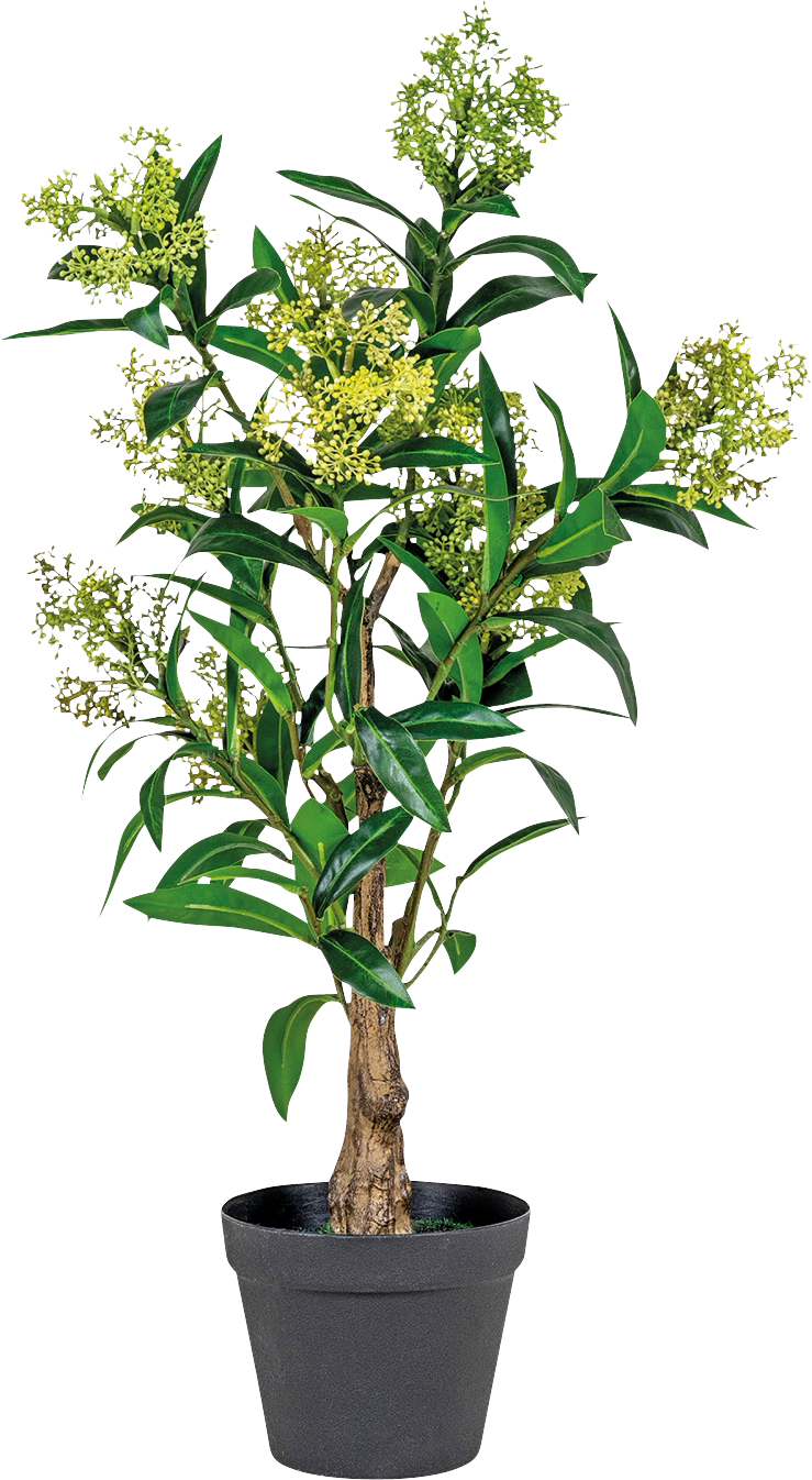 2355440 SKIMMIA TRÆ 75CM KUNSTIG PLANTE 1
