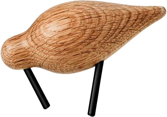 9148238_2.png
