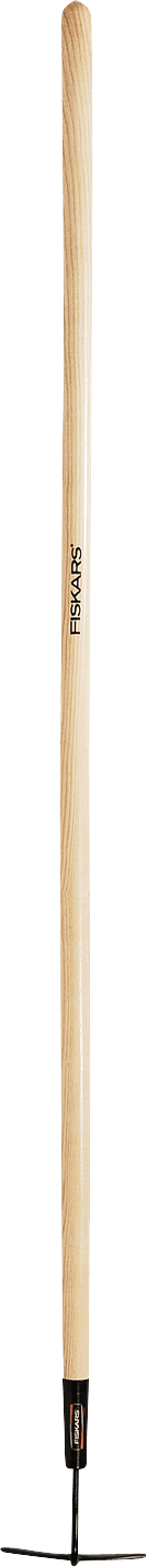 5308867_1.png