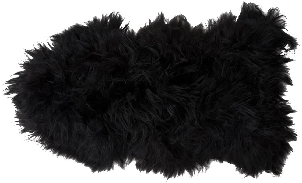 9149068_1.png