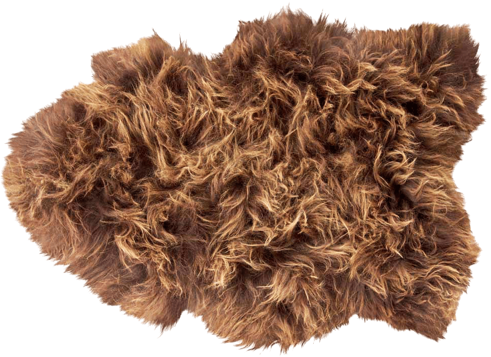 9149070_1.png