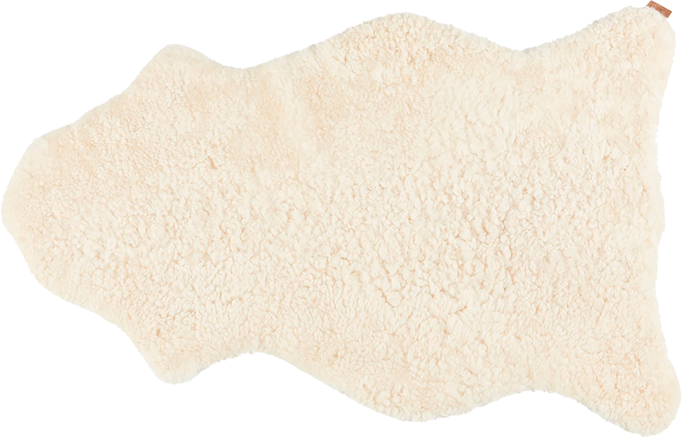 9149077_1.png