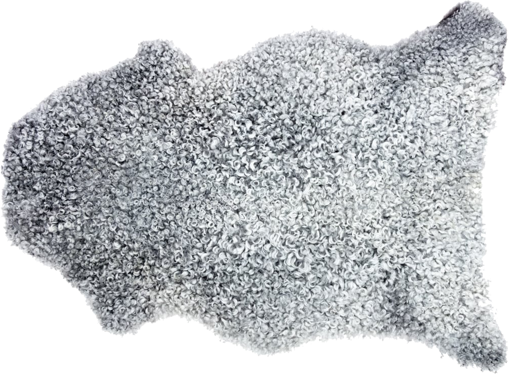 9149072_1.png