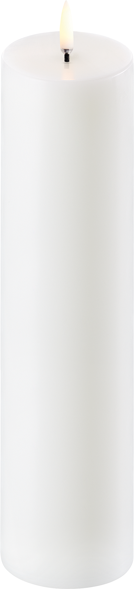 9148677_1.png