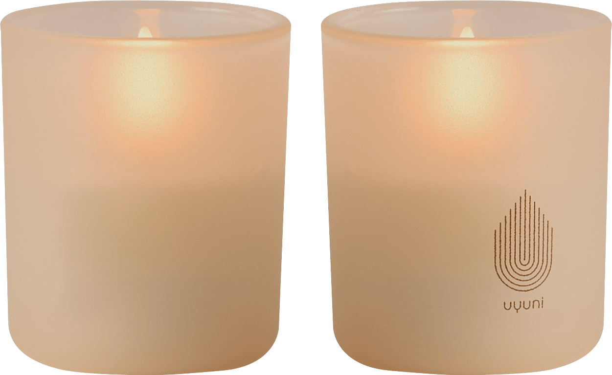 9148661_1.png