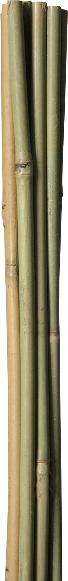 2265512 HOME IT BAMBUSPINDE 150CM 1