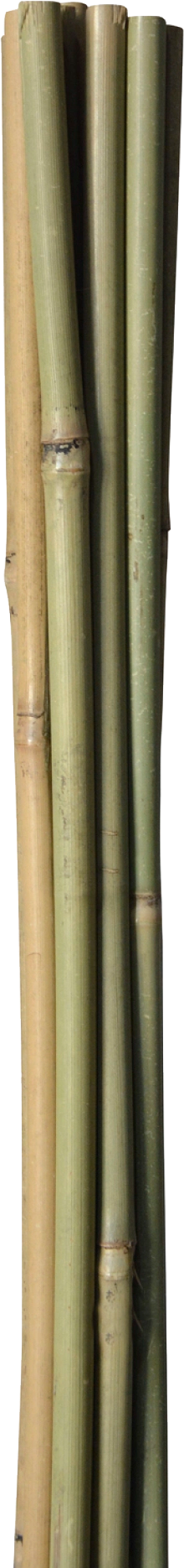 2265510 HOME IT BAMBUSPINDE 120CM 1