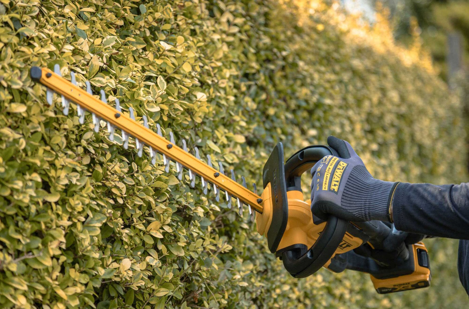 2457519 DEWALT 18V XR HÆKKEKLIPPER 5