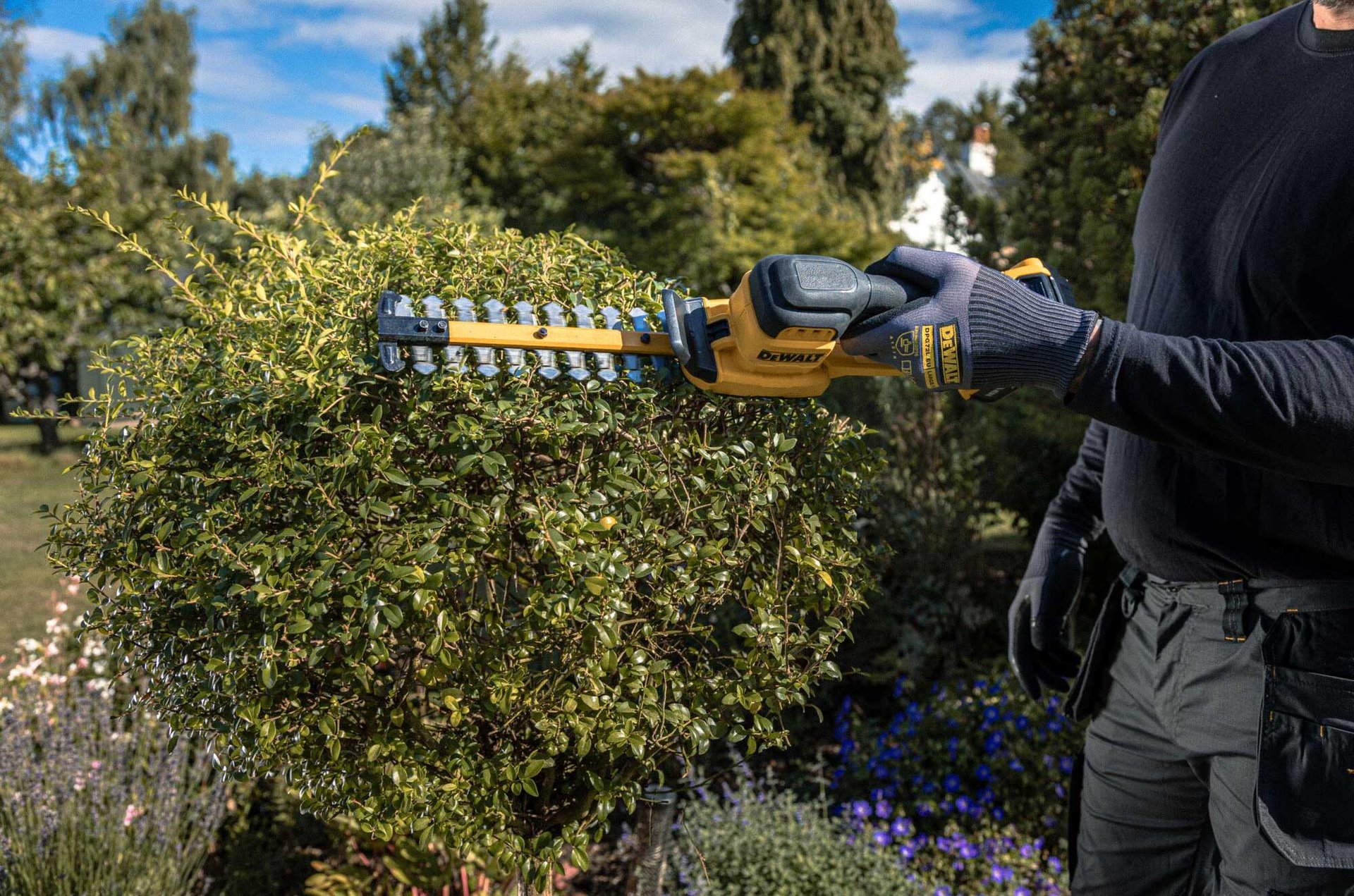 2541278 DEWALT 18V HÆKKETRIMMER 4