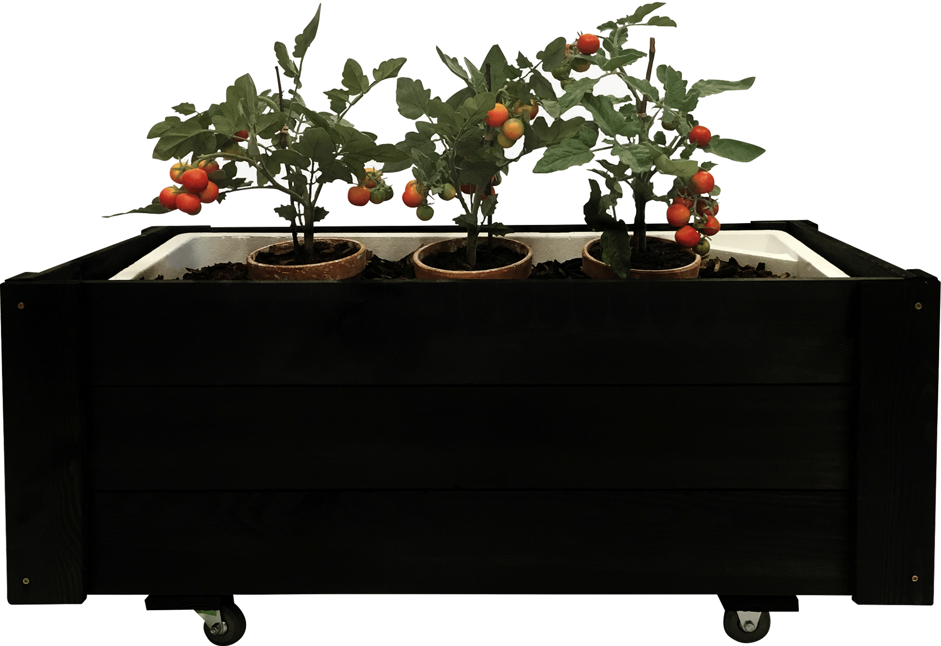 1840237_1.png