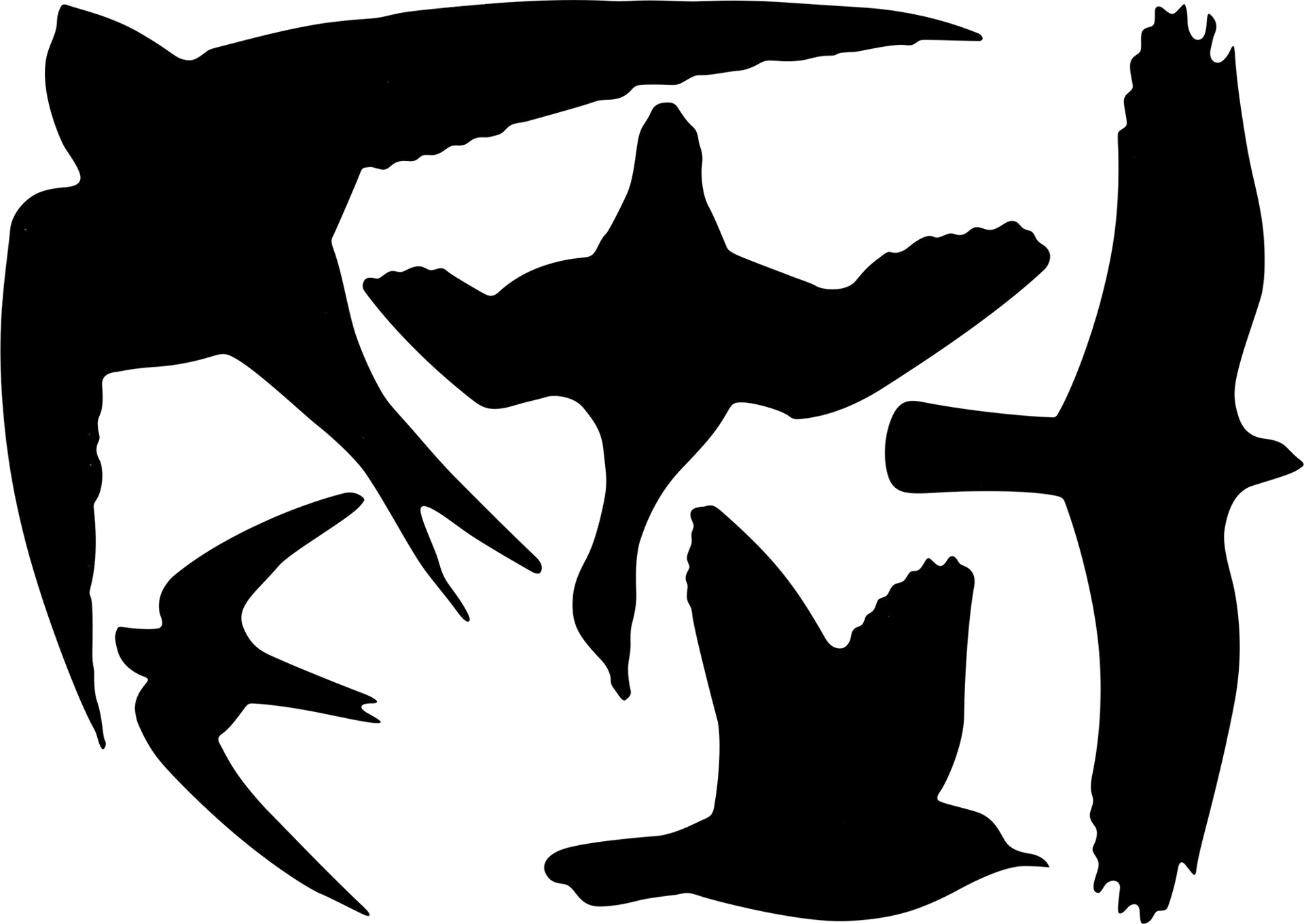 1991461_1.png