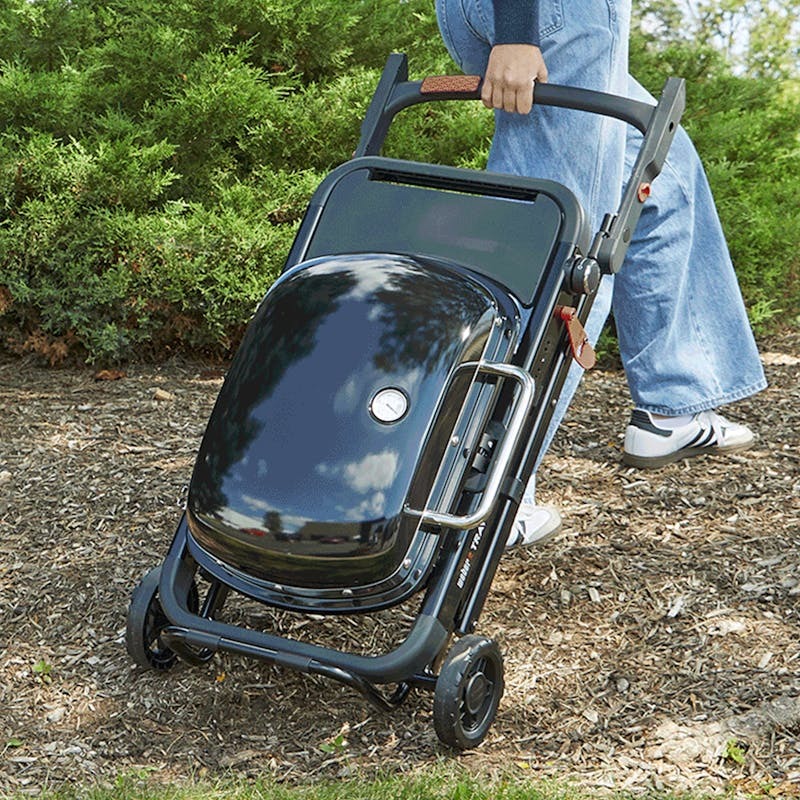 2527861 WEBER TRAVELER COMPACT 3