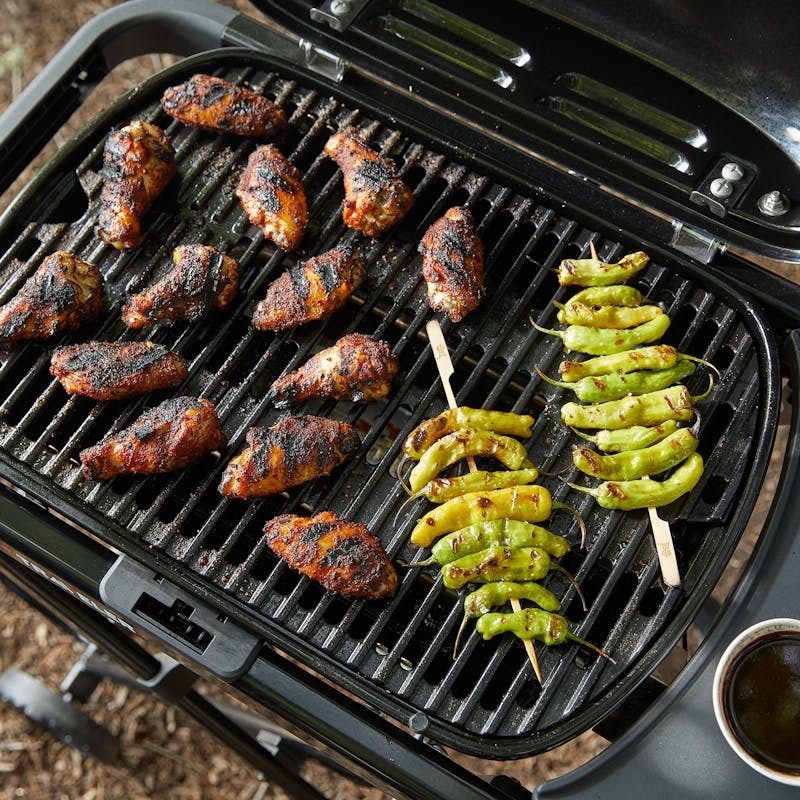 2527861 WEBER TRAVELER COMPACT 4