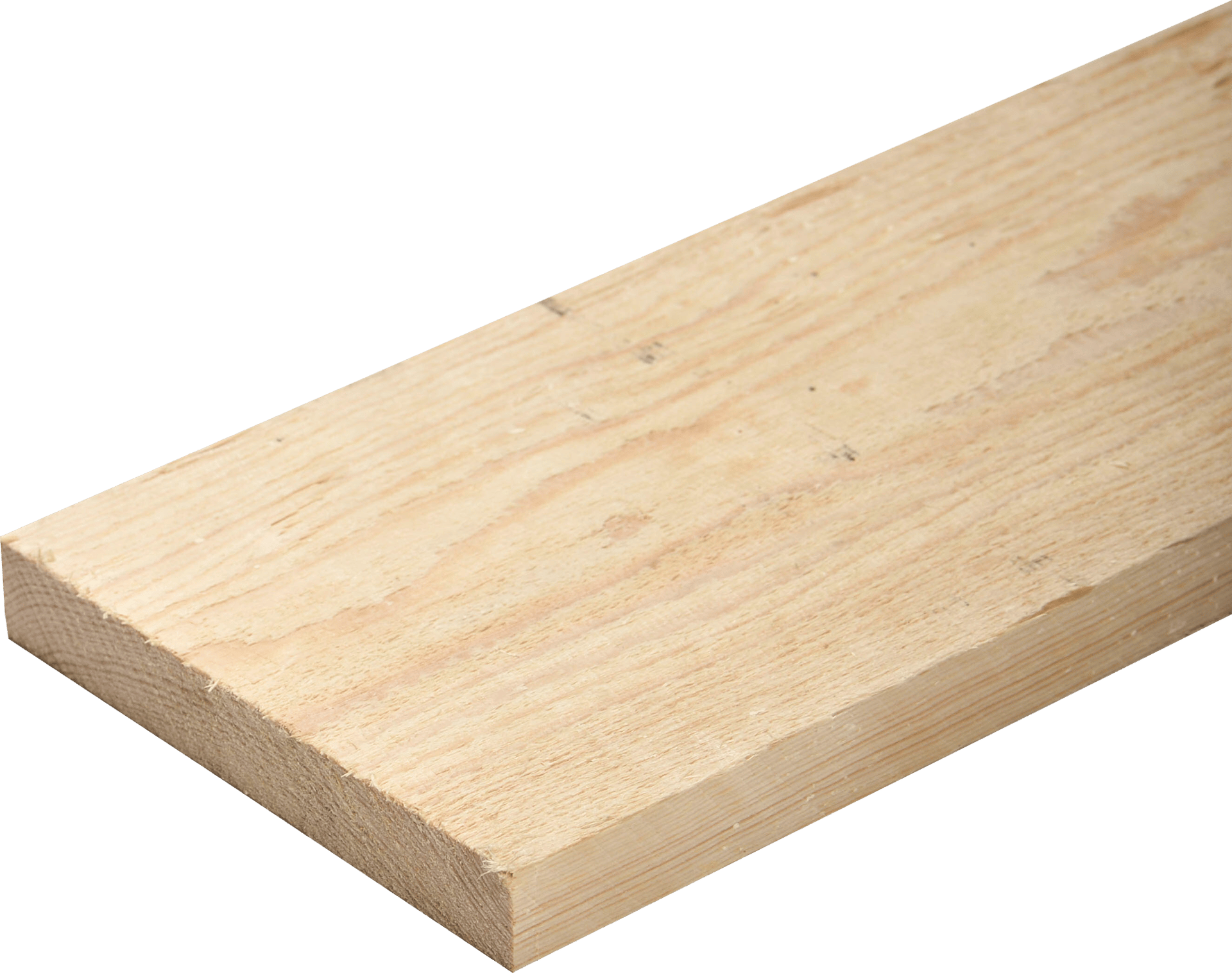 1000025175 0180 1