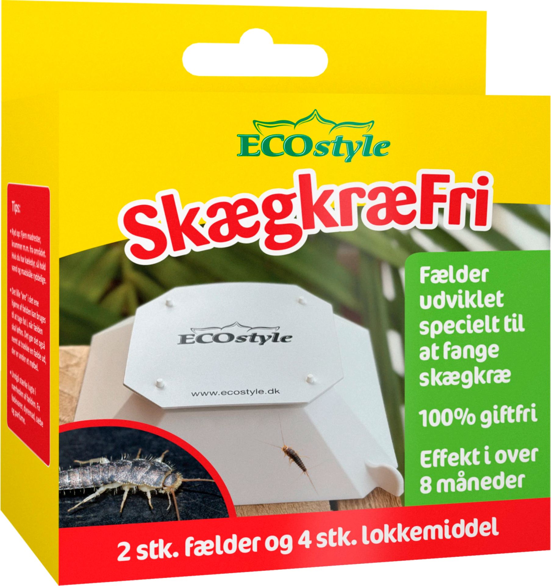 2435562 ECOSTYLE SKÆGKRÆFÆLDE 1