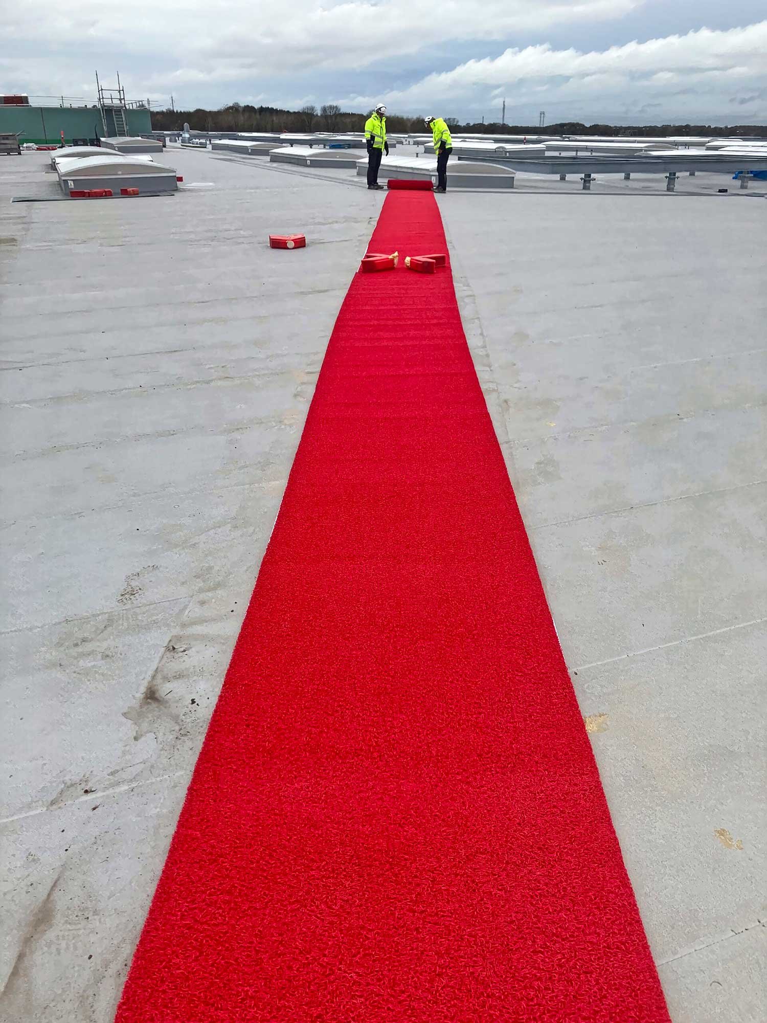 2495143_3.jpg
