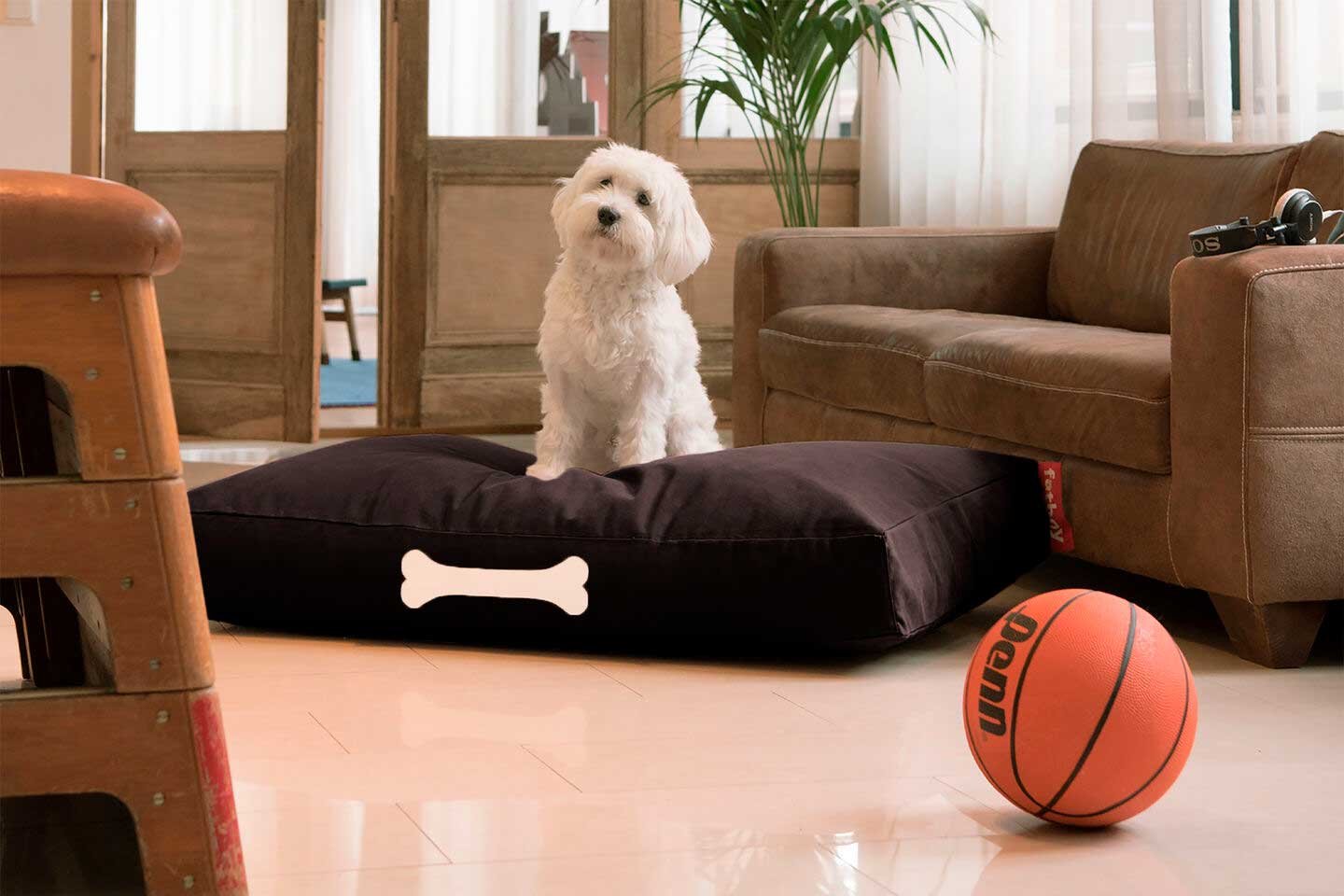 9149173 FATBOY DOGGIELOUNGE L CANVAS RECYCLED SORT LICORICE 4