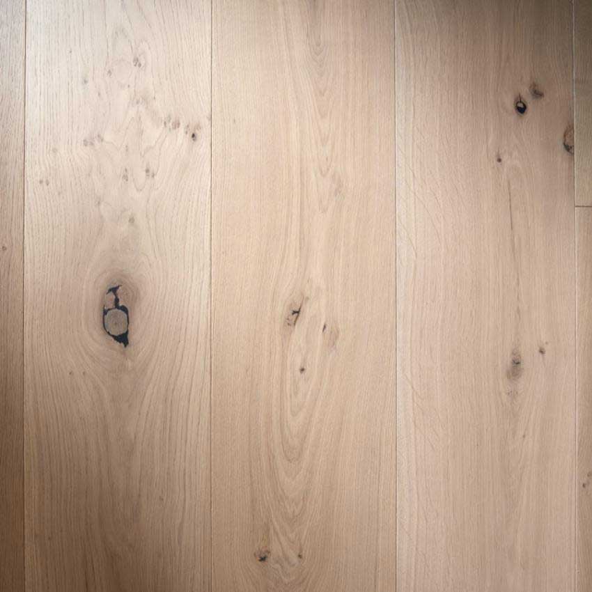 Image 1774270758251