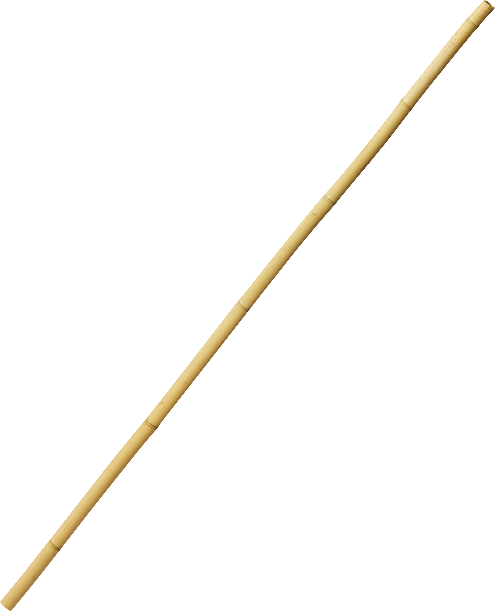 2334544_9.png