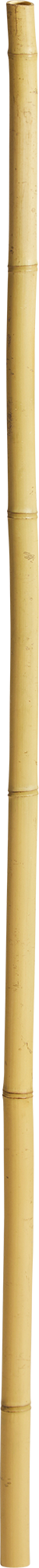 2334544_1.png