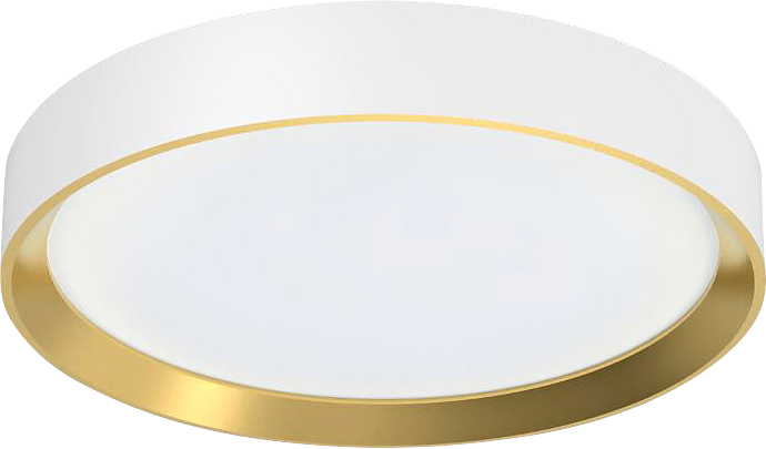 2422279_1.png