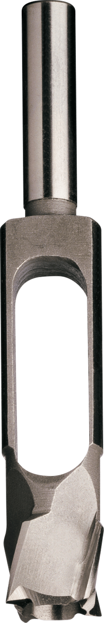 5068181_1.png