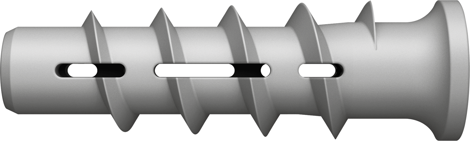W1_P_P_FTP-CGI_V1.png (1)