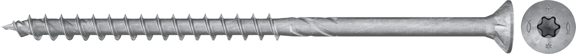 W1_P_P_FPF-II-CTP-BZ-CGI_F_SALL_AQQ_V3.png (1)