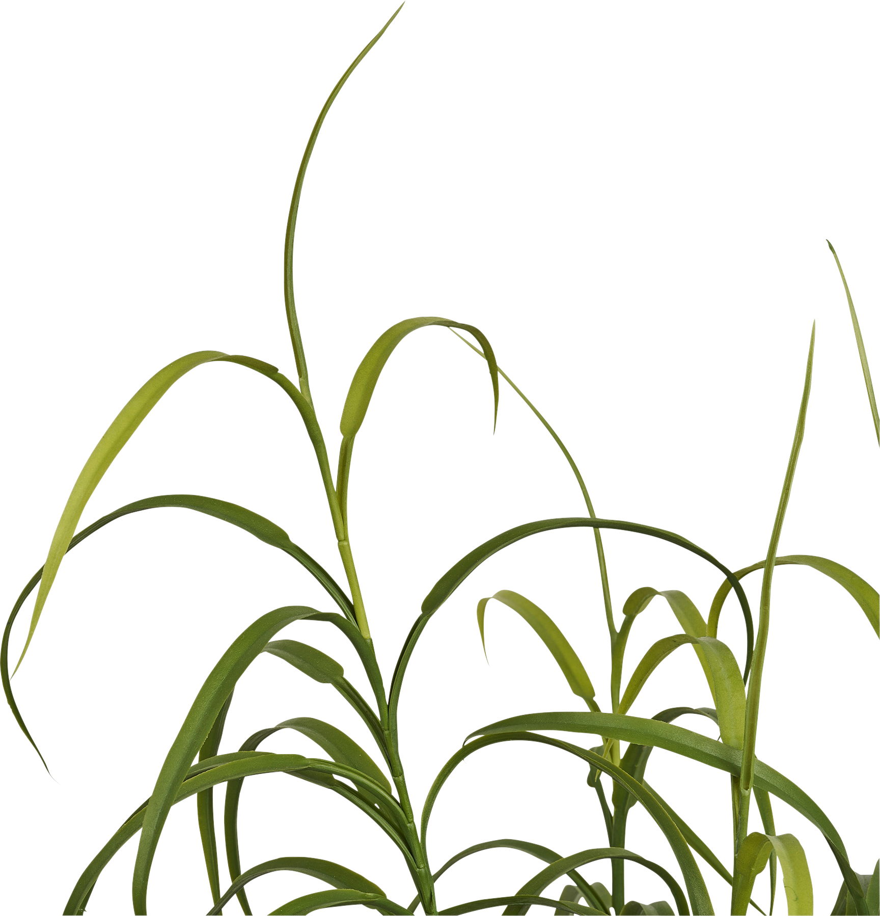 2570015_2.png