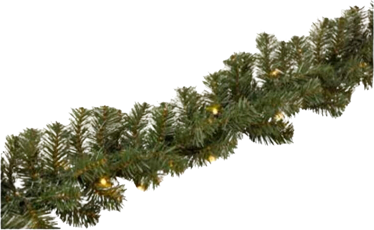 2601687_1.png