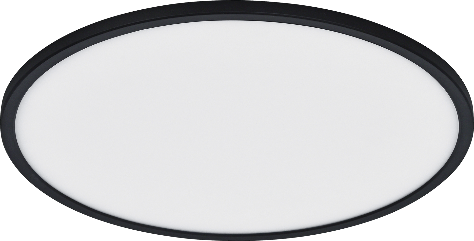 2513803_1.png