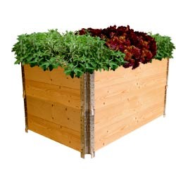 1539314 PINDSTRUP PALLERAMME 80X120CM Web