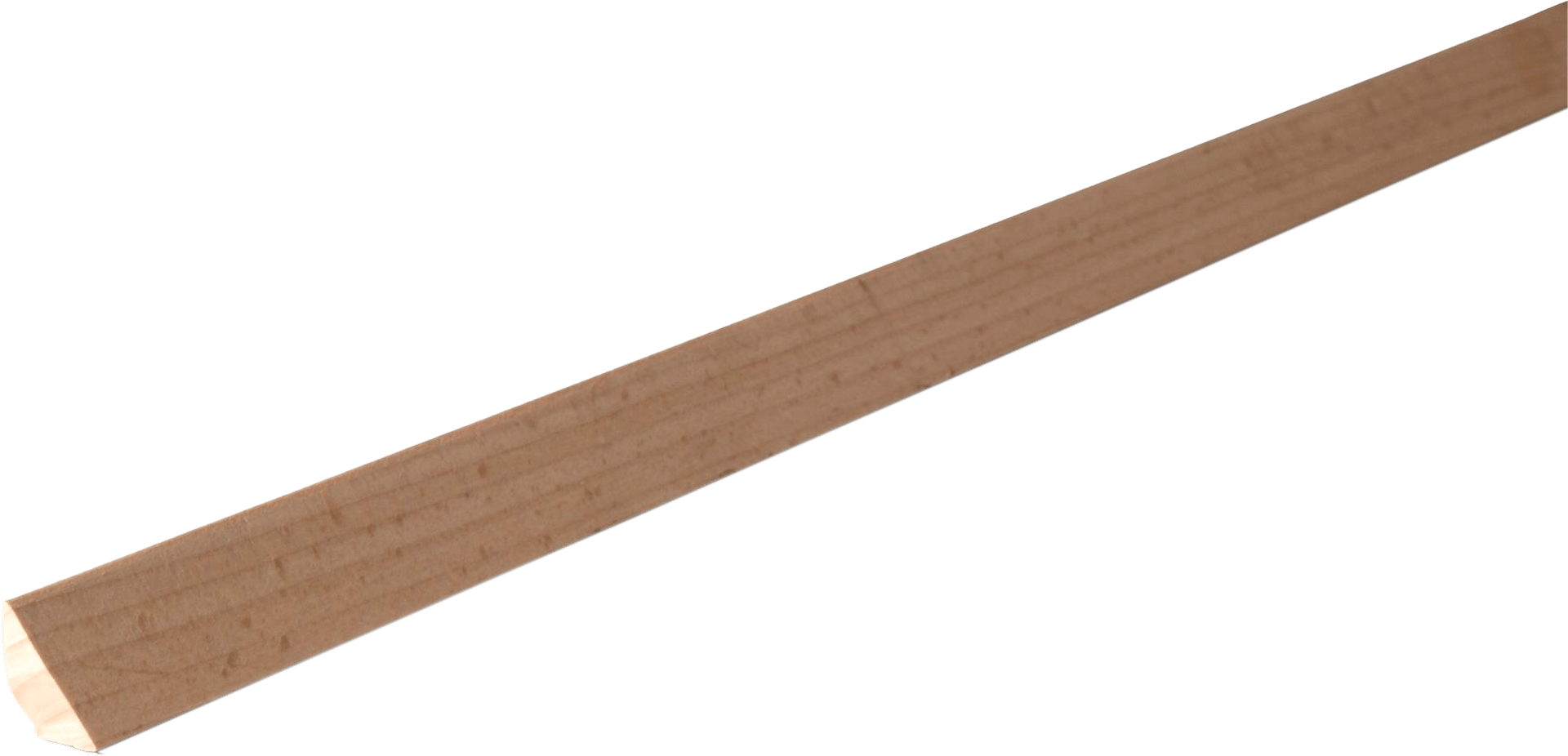 1895264 HT90 BØG LAK FEJELISTE 10X13MM