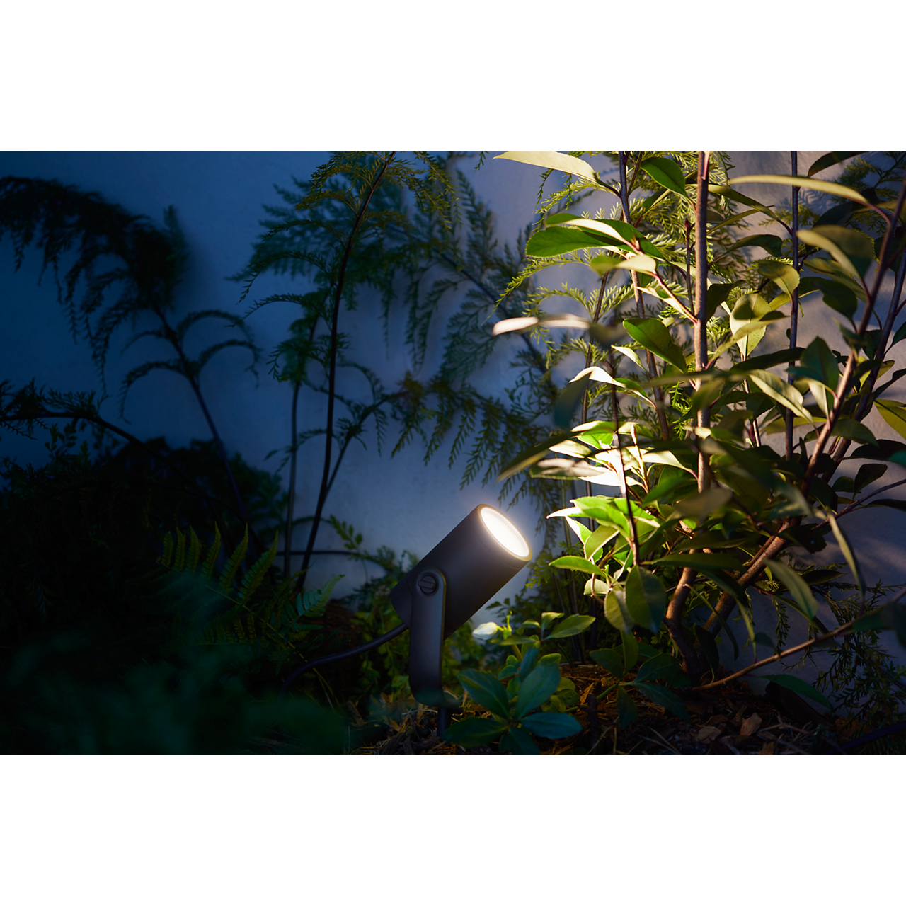 1988690 PHILIPS HUE LILY SPIKE SPOT5